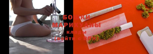 индика Лихославль