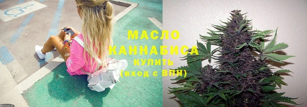 индика Лихославль