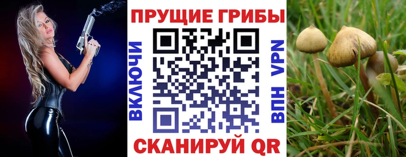 где можно купить наркотик  Александров  Псилоцибиновые грибы мухоморы 